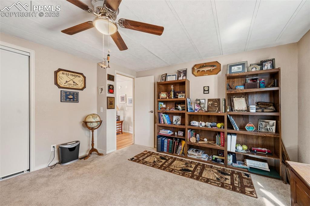 1299 Pikes Peak Drive Florissant CO 80816
