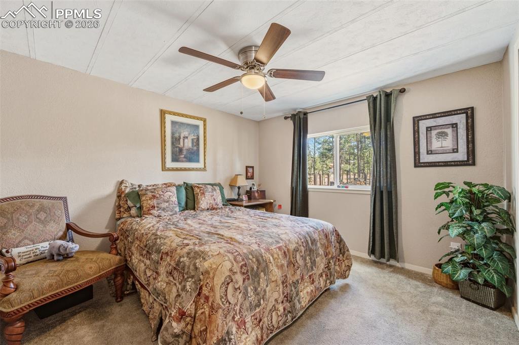 1299 Pikes Peak Drive Florissant CO 80816