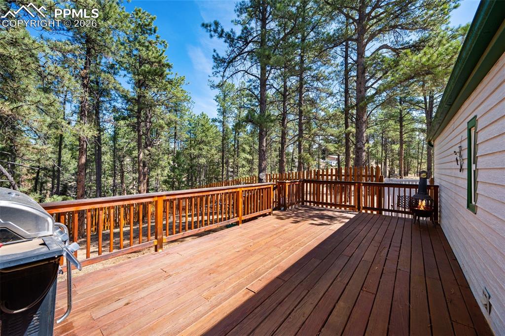 1299 Pikes Peak Drive Florissant CO 80816