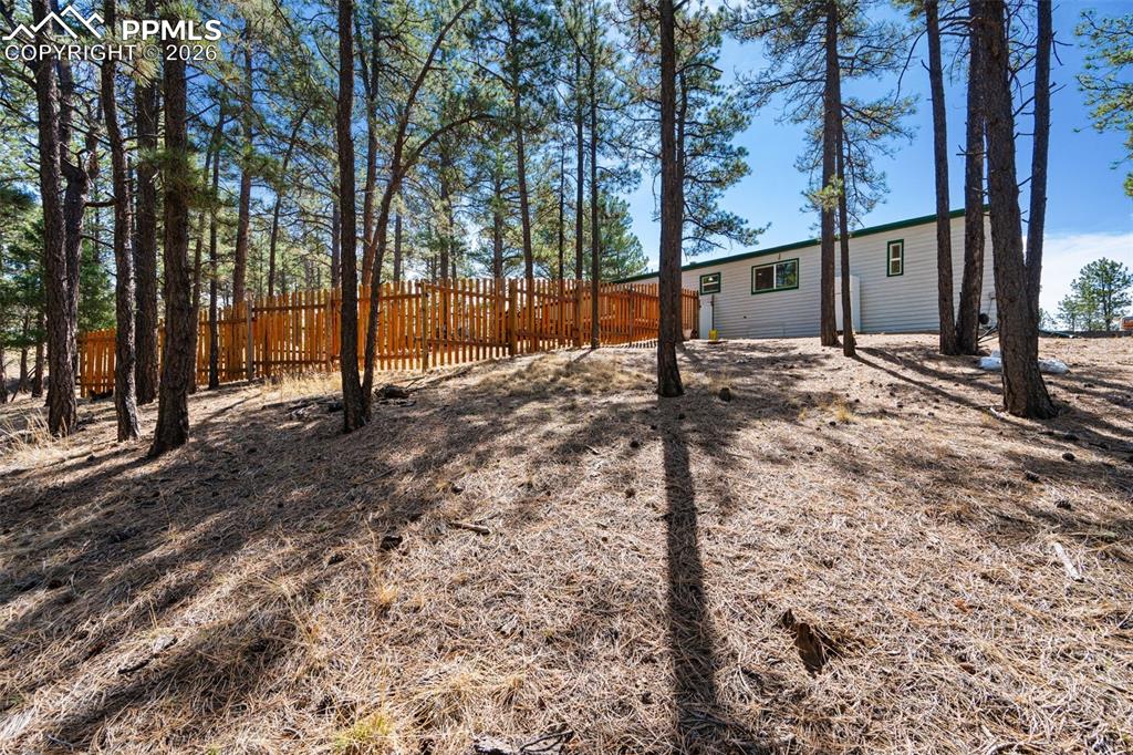1299 Pikes Peak Drive Florissant CO 80816