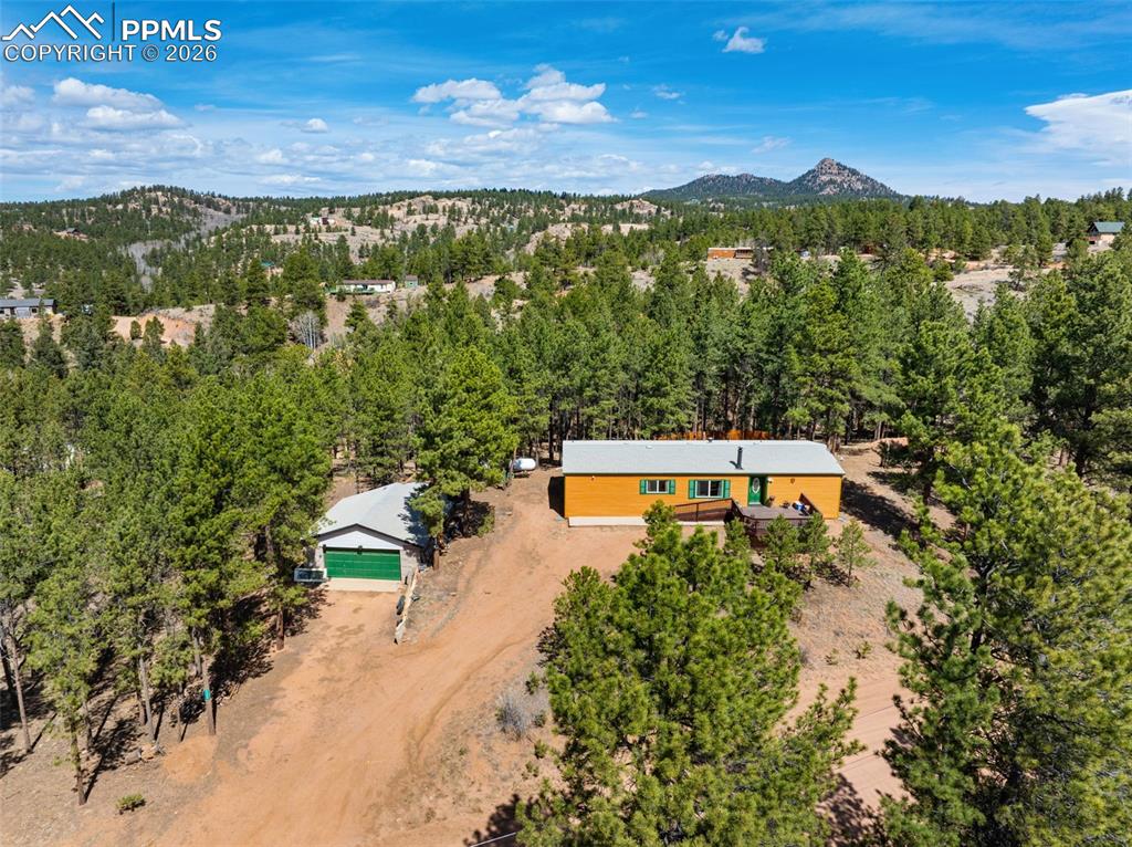 1299 Pikes Peak Drive Florissant CO 80816