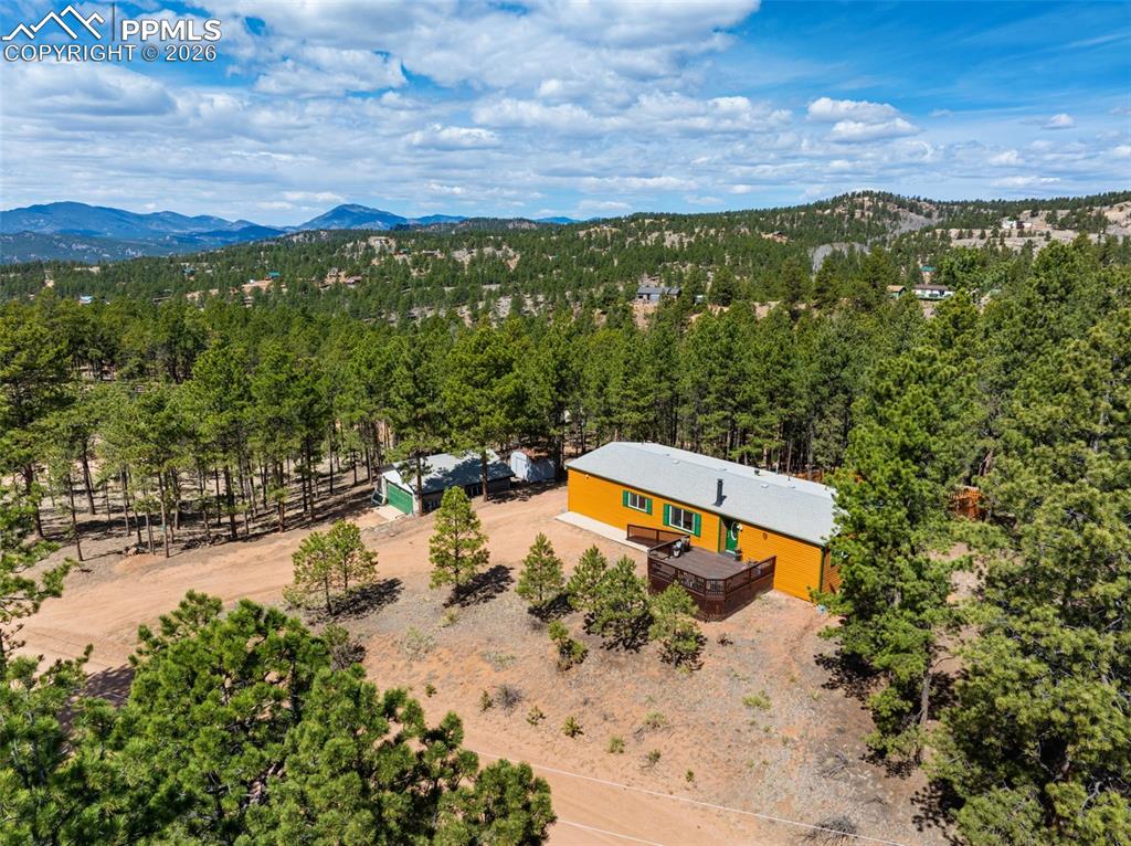 1299 Pikes Peak Drive Florissant CO 80816