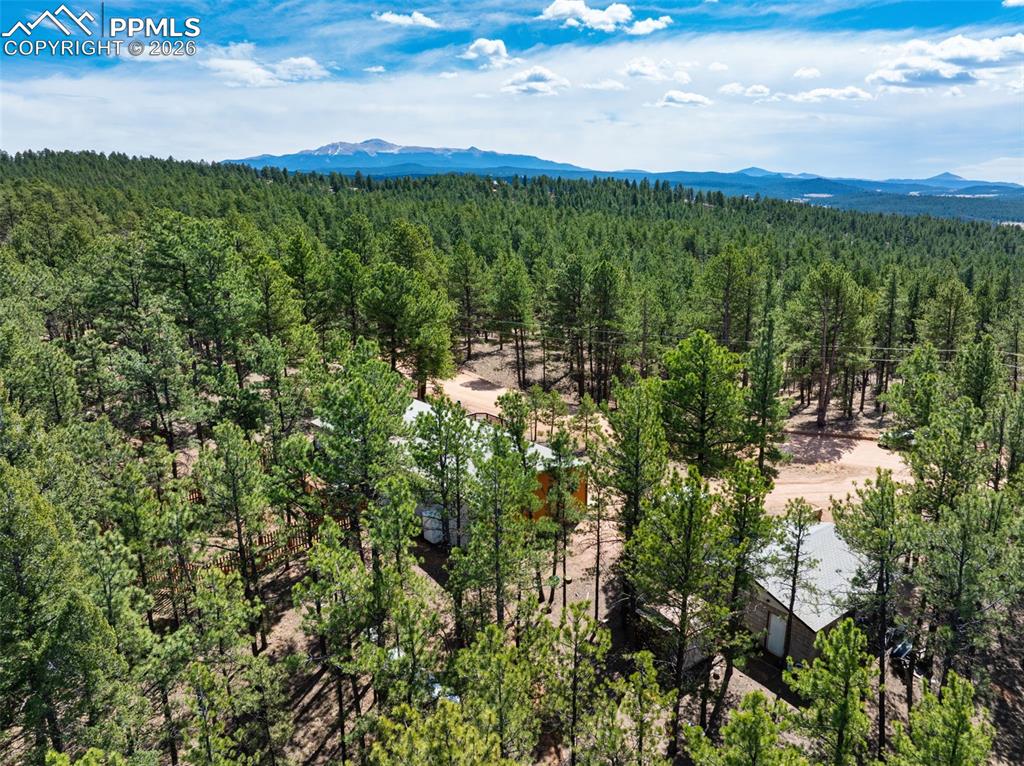 1299 Pikes Peak Drive Florissant CO 80816
