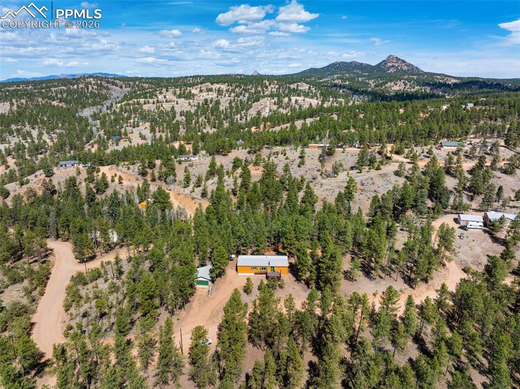 1299 Pikes Peak Drive Florissant CO 80816