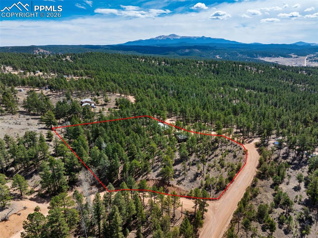1299 Pikes Peak Drive Florissant CO 80816