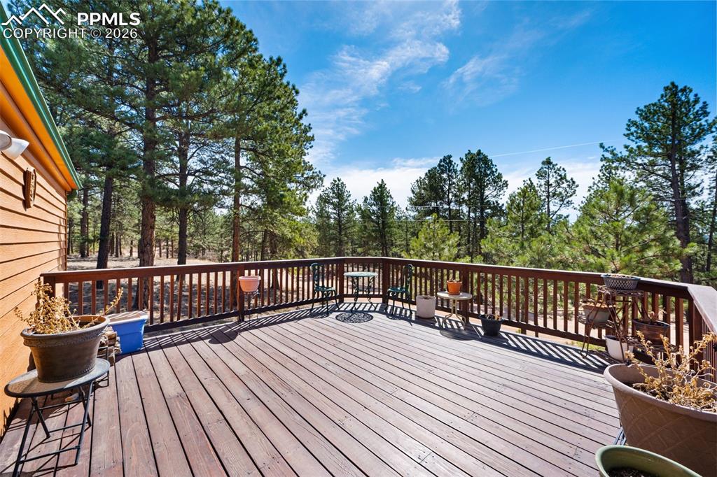 1299 Pikes Peak Drive Florissant CO 80816