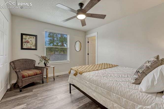 110 Chester Avenue Woodland Park CO 80863