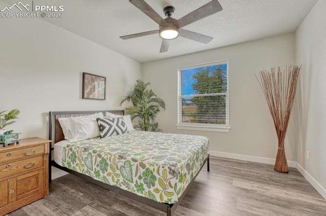 110 Chester Avenue Woodland Park CO 80863