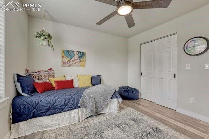 110 Chester Avenue Woodland Park CO 80863