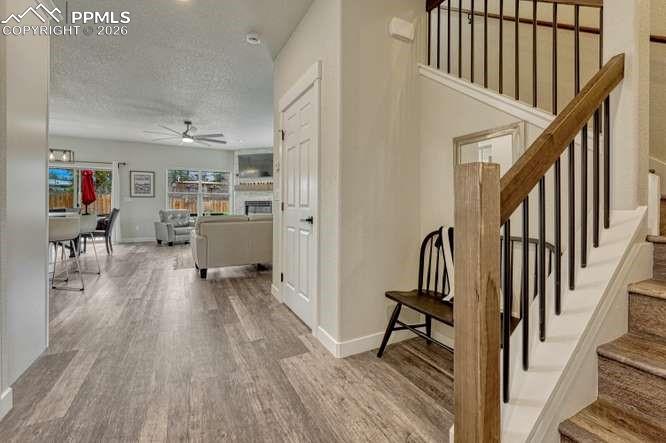 110 Chester Avenue Woodland Park CO 80863