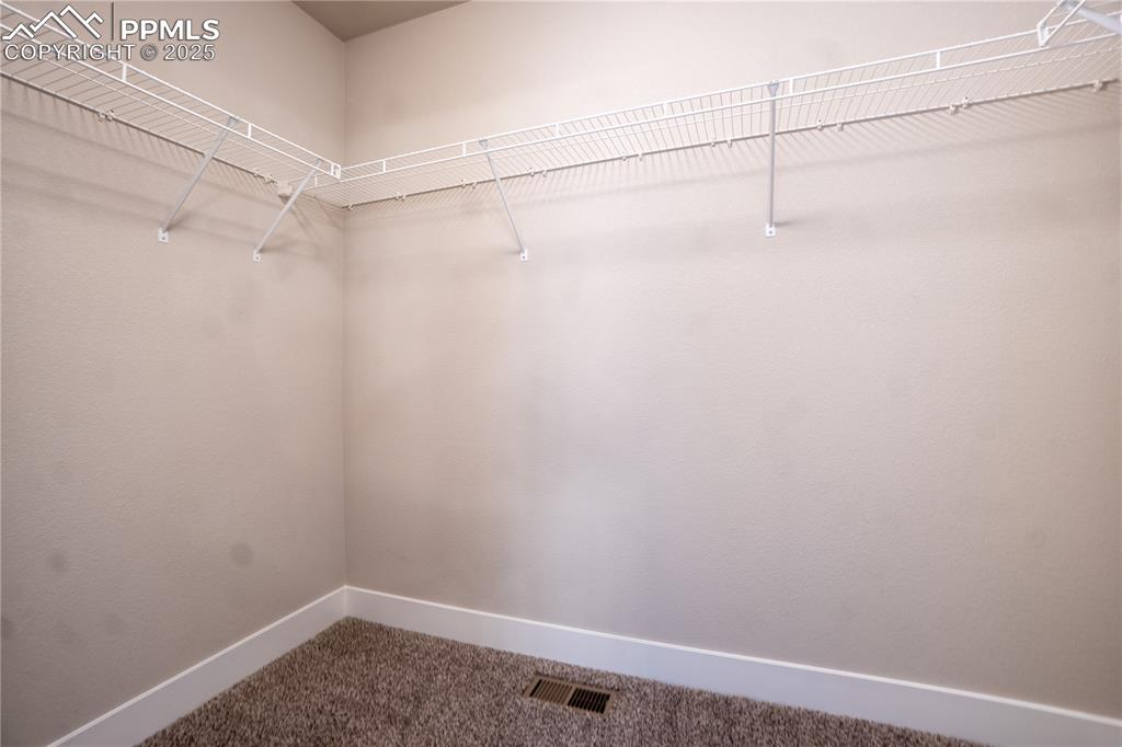 2962 Namib Drive Colorado Springs CO 80939