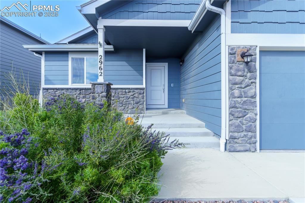 2962 Namib Drive Colorado Springs CO 80939