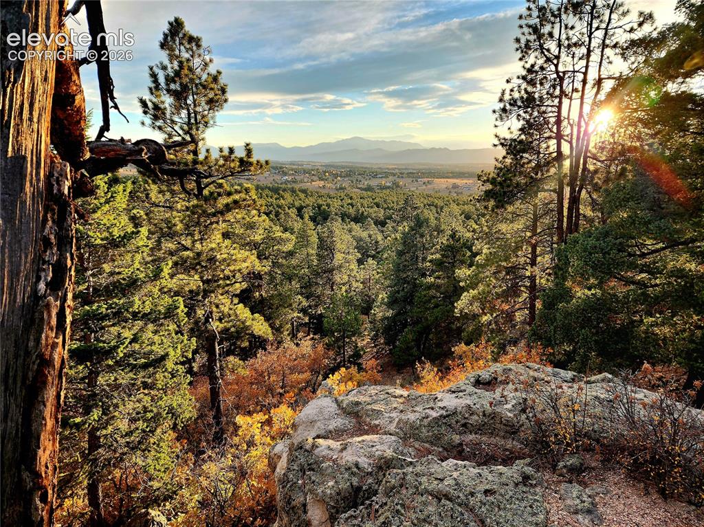 4450 Walker Ridge View Colorado Springs CO 80908