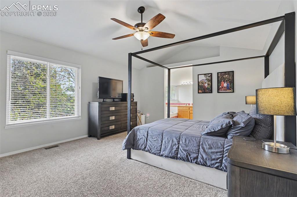 3910 Sedgewood Way Colorado Springs CO 80918