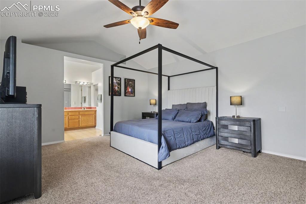 3910 Sedgewood Way Colorado Springs CO 80918