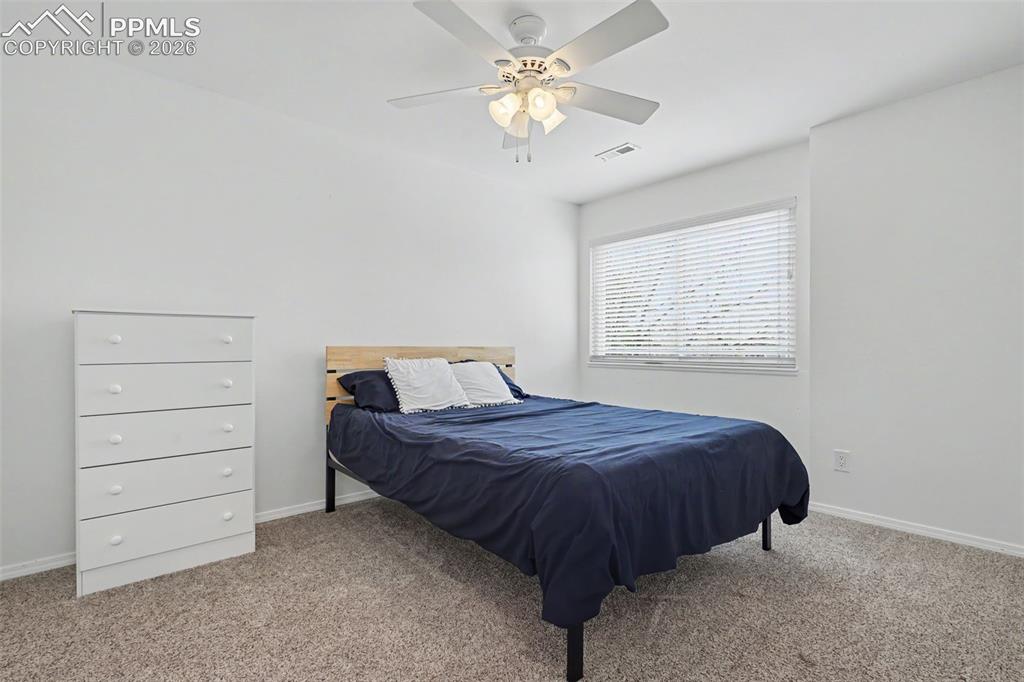 3910 Sedgewood Way Colorado Springs CO 80918