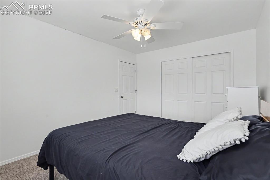 3910 Sedgewood Way Colorado Springs CO 80918