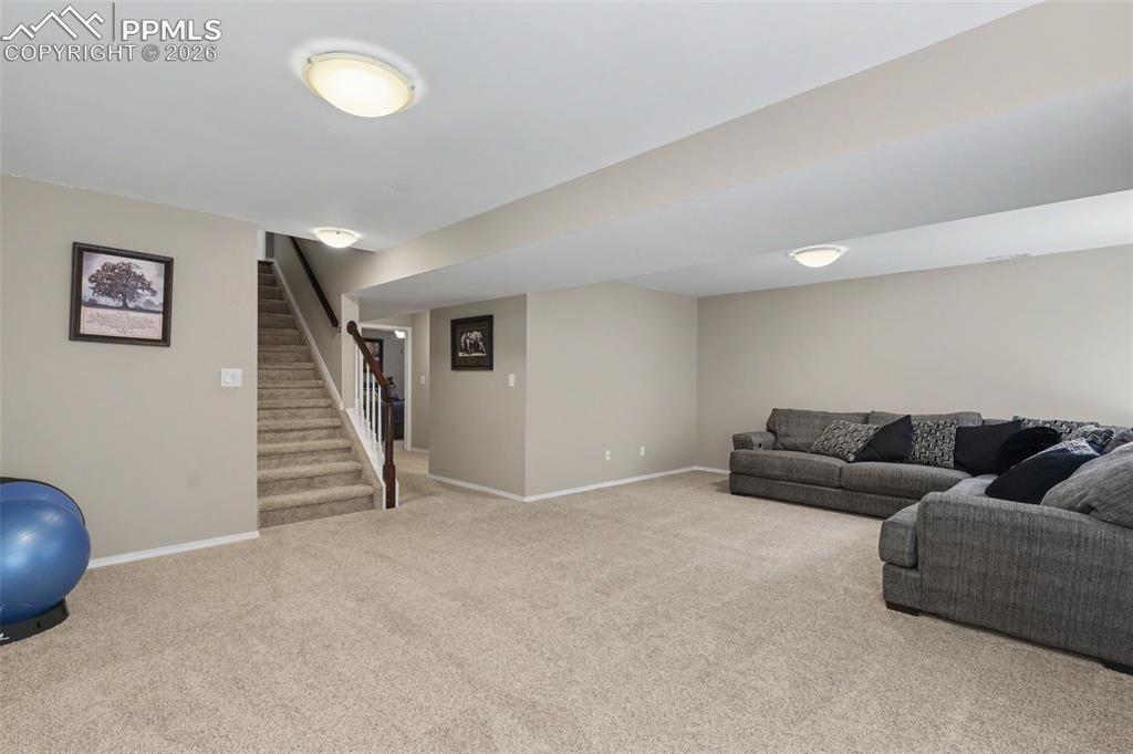 3910 Sedgewood Way Colorado Springs CO 80918