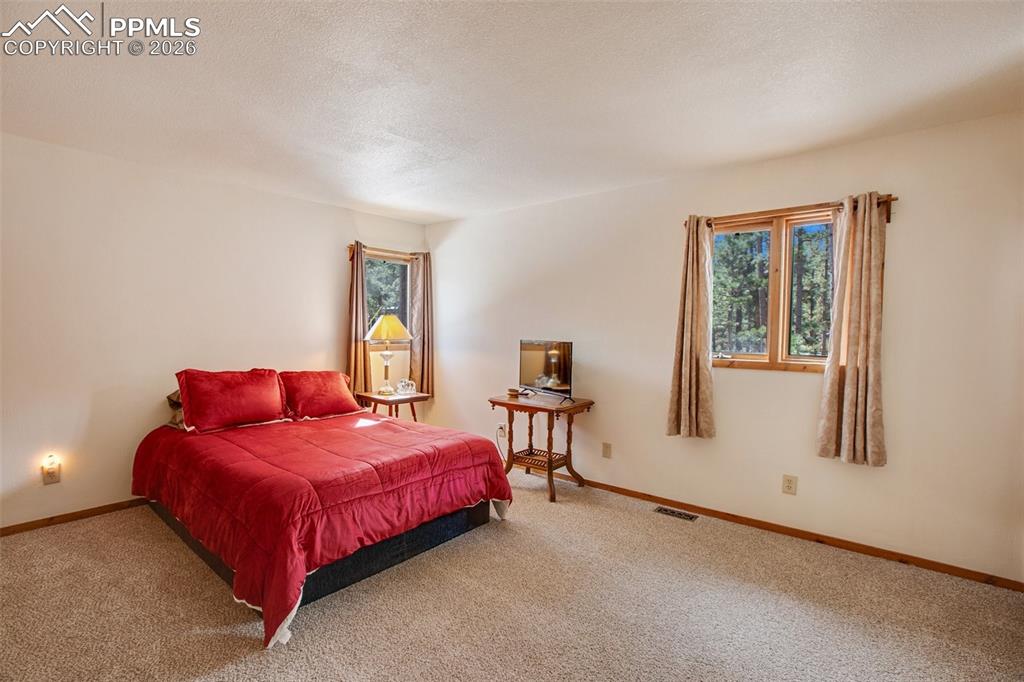 725 Sunnywood Loop Woodland Park CO 80863