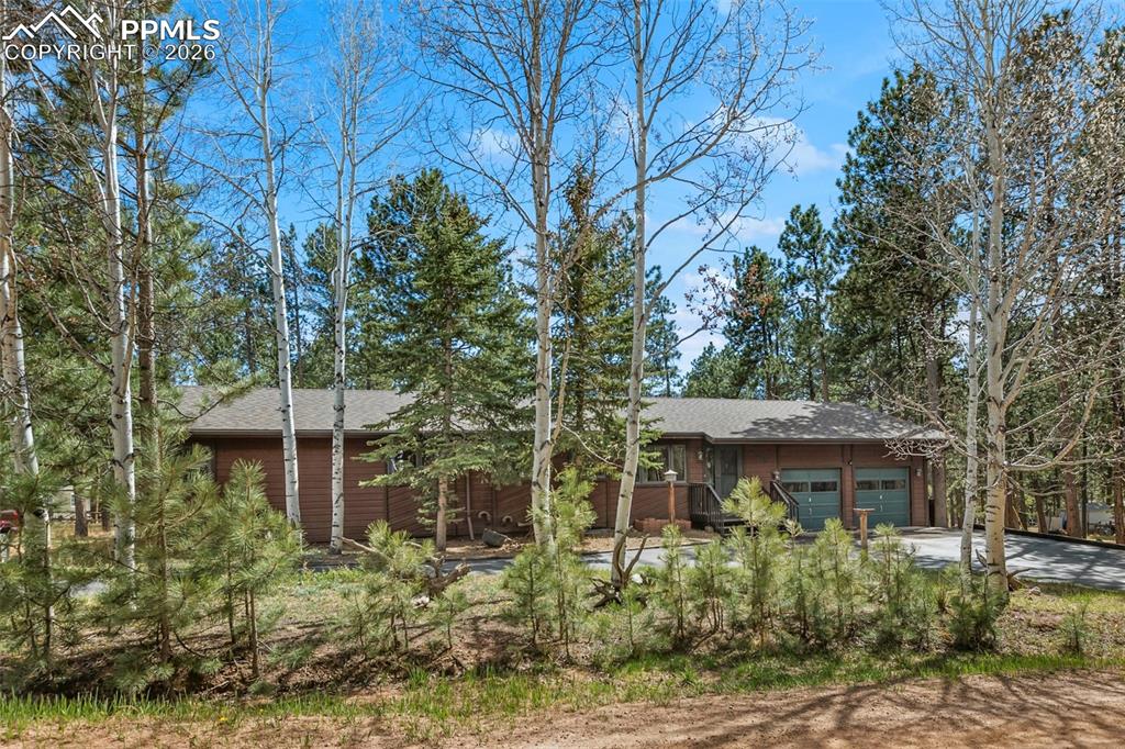 725 Sunnywood Loop Woodland Park CO 80863