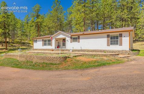 275 Mohave Creek Trail Florissant CO 80816