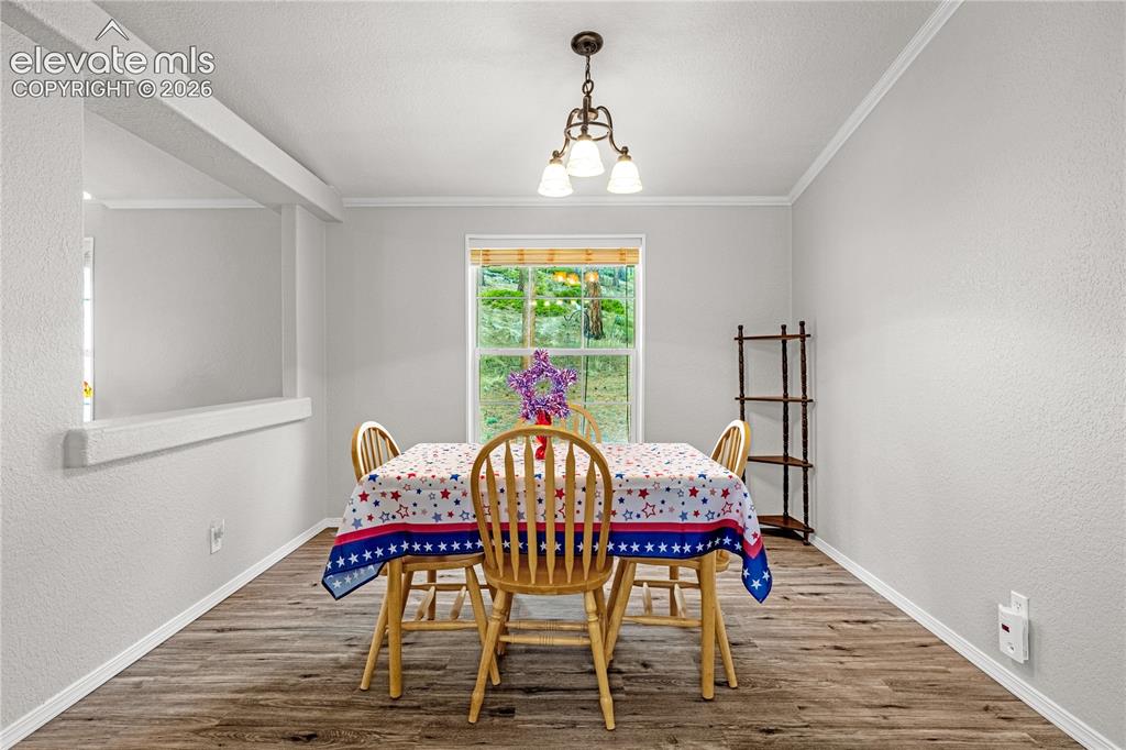 275 Mohave Creek Trail Florissant CO 80816