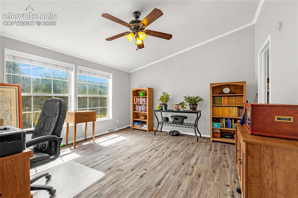 275 Mohave Creek Trail Florissant CO 80816