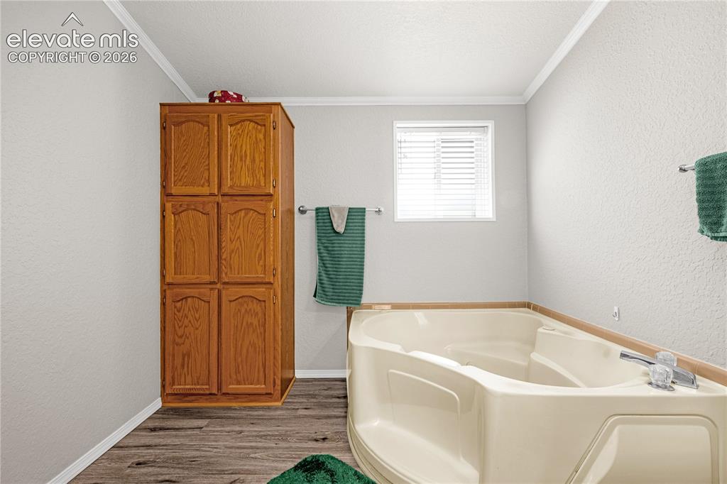 275 Mohave Creek Trail Florissant CO 80816