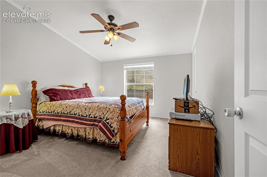 275 Mohave Creek Trail Florissant CO 80816
