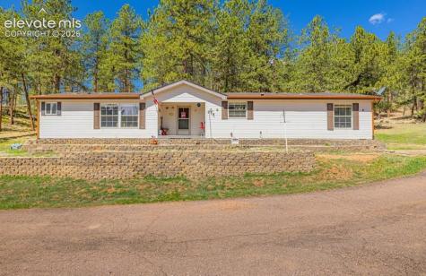 275 Mohave Creek Trail Florissant CO 80816