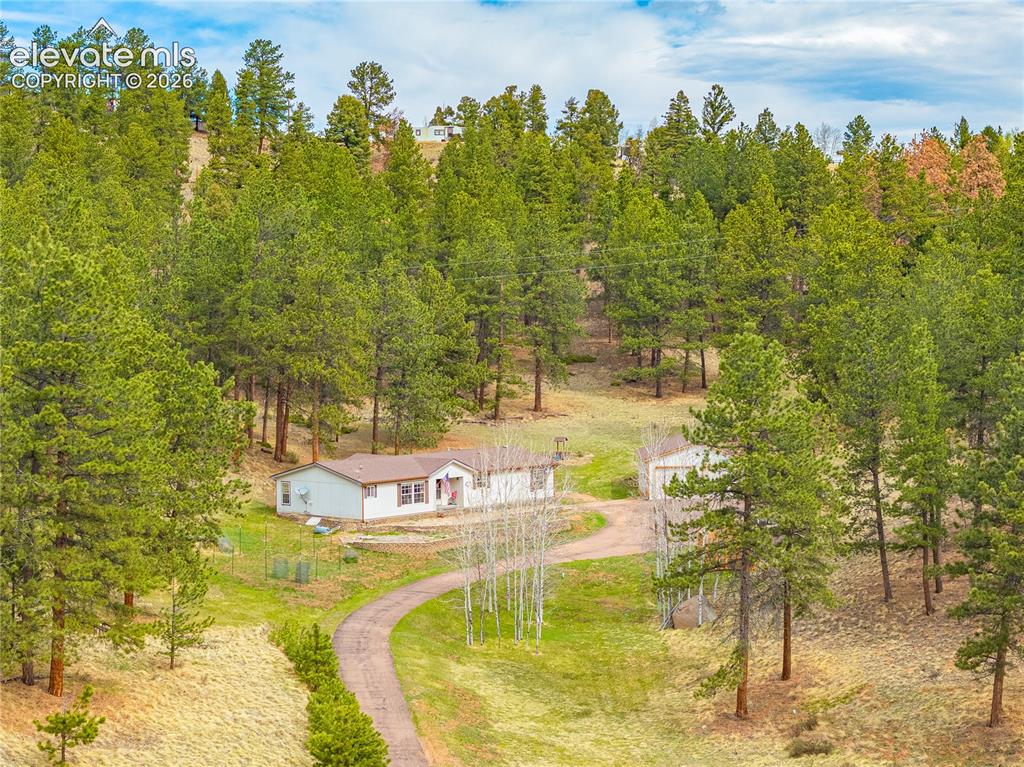 275 Mohave Creek Trail Florissant CO 80816