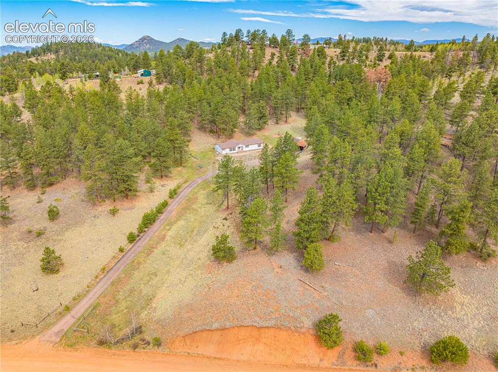 275 Mohave Creek Trail Florissant CO 80816