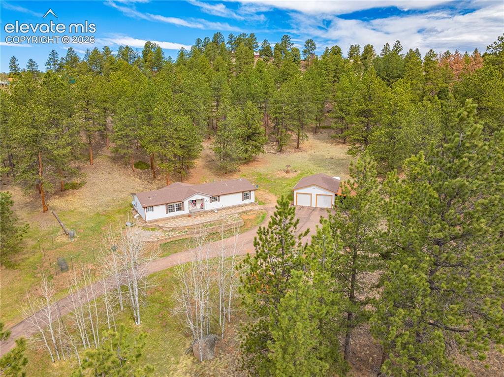 275 Mohave Creek Trail Florissant CO 80816