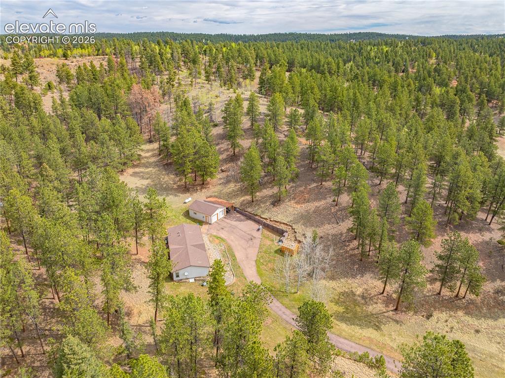 275 Mohave Creek Trail Florissant CO 80816