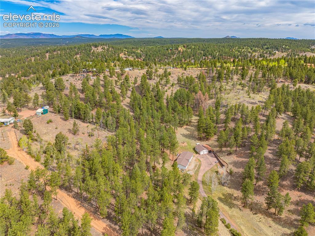 275 Mohave Creek Trail Florissant CO 80816