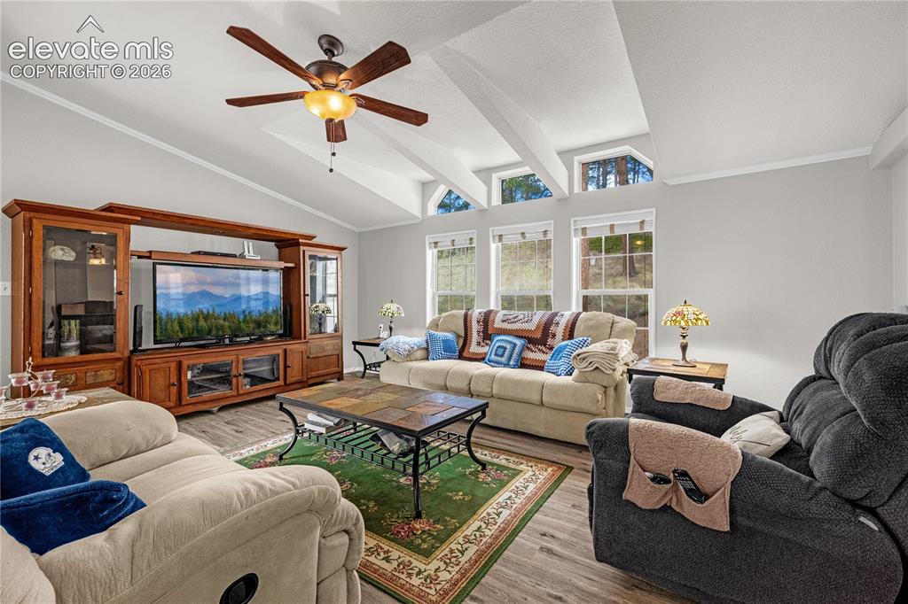 275 Mohave Creek Trail Florissant CO 80816