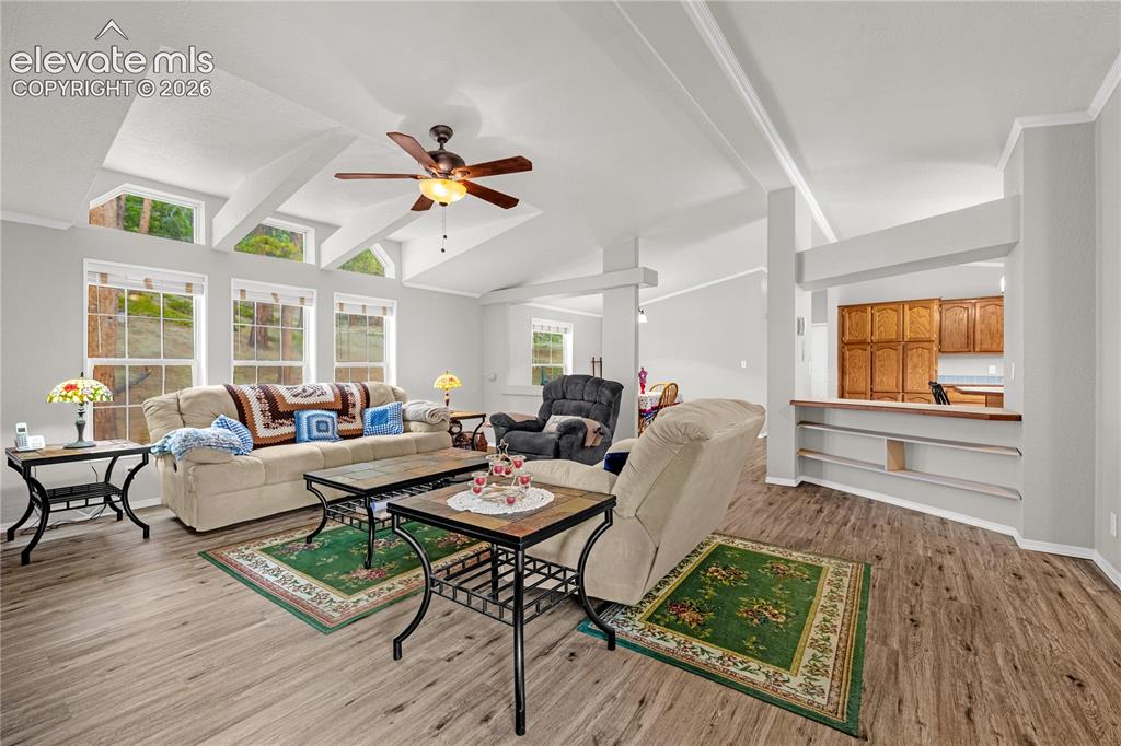 275 Mohave Creek Trail Florissant CO 80816