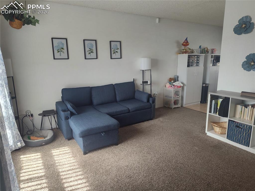 37 Massari Road Pueblo CO 81001