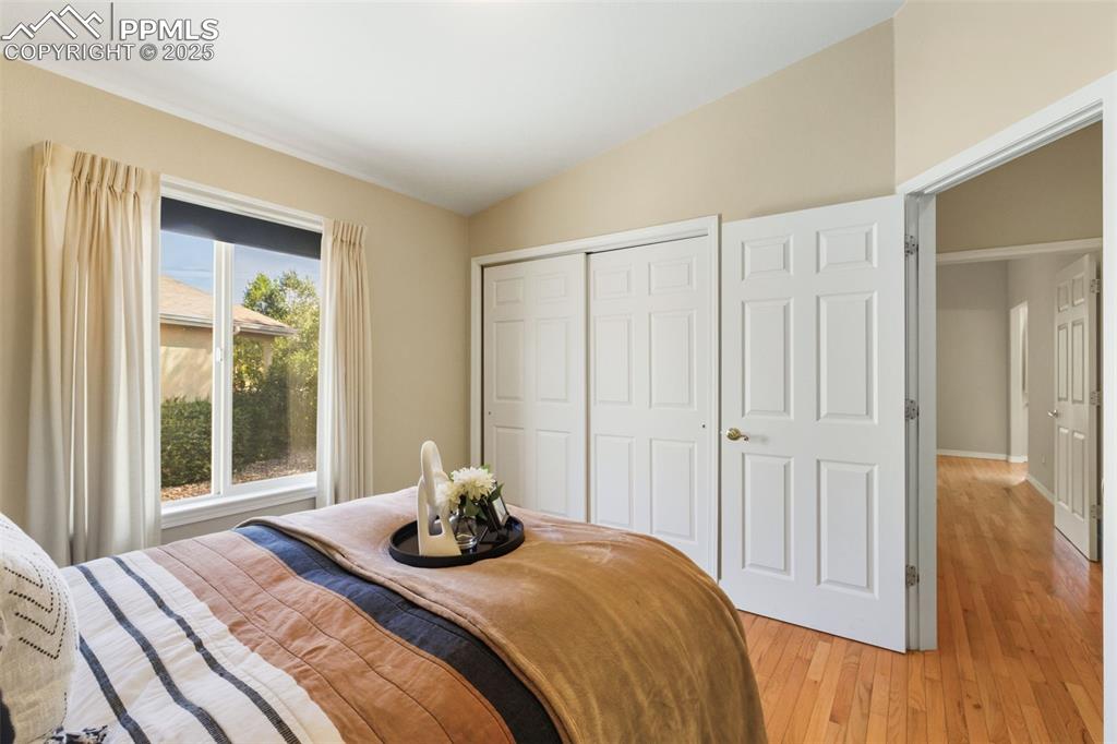 3263 Chestnut Glen Lane Colorado Springs CO 80918