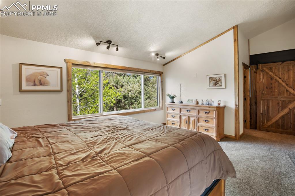 45 Barr Lake Circle Divide CO 80814