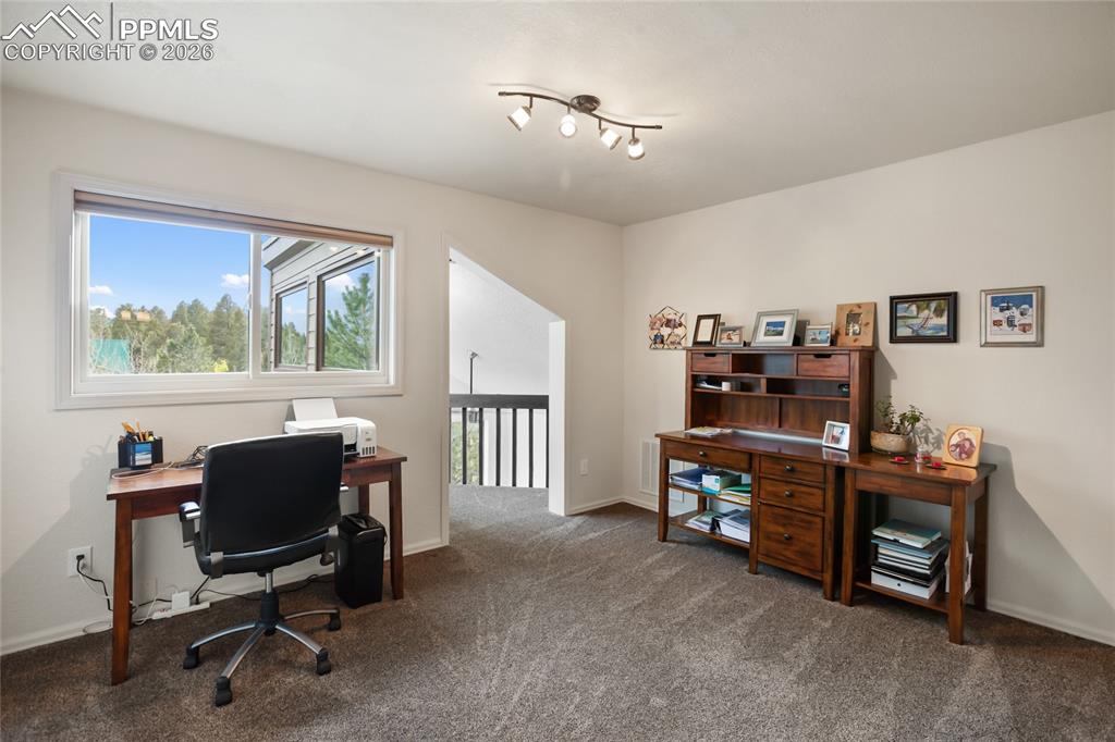 45 Barr Lake Circle Divide CO 80814