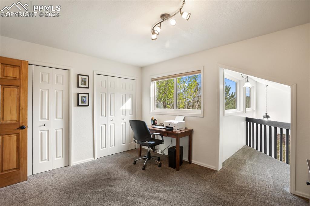 45 Barr Lake Circle Divide CO 80814
