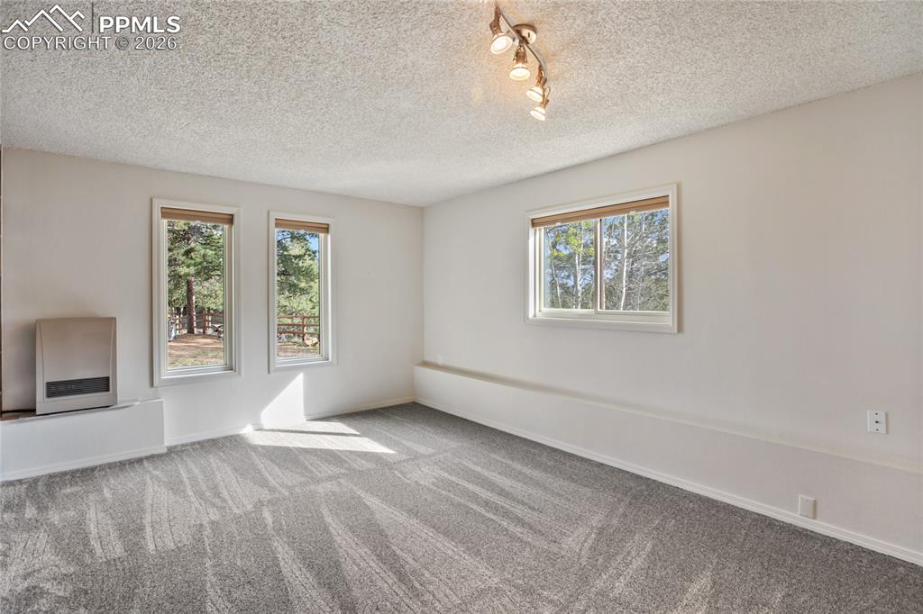 45 Barr Lake Circle Divide CO 80814