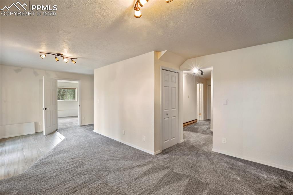 45 Barr Lake Circle Divide CO 80814
