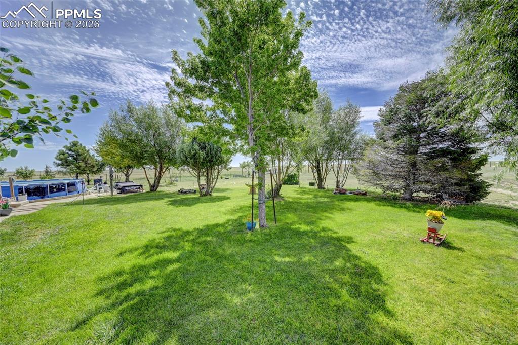 35875 Shear Road Yoder CO 80864