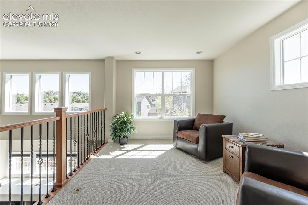 1610 Ridgetrail Court Castle Rock CO 80104