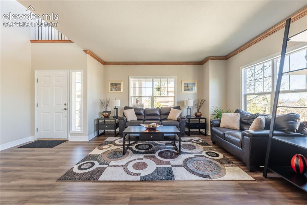1610 Ridgetrail Court Castle Rock CO 80104