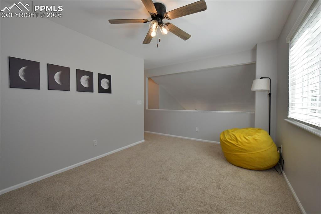 7826 Black Walnut Drive Colorado Springs CO 80920