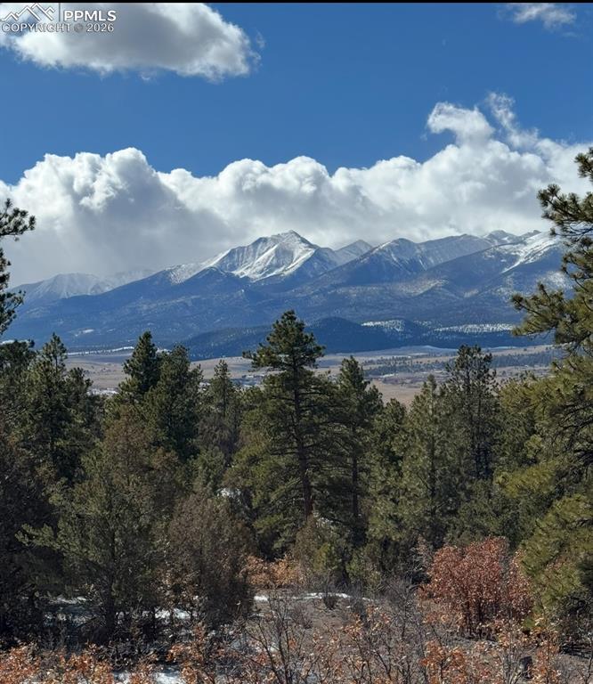 209 Rosewood Road Westcliffe CO 81252