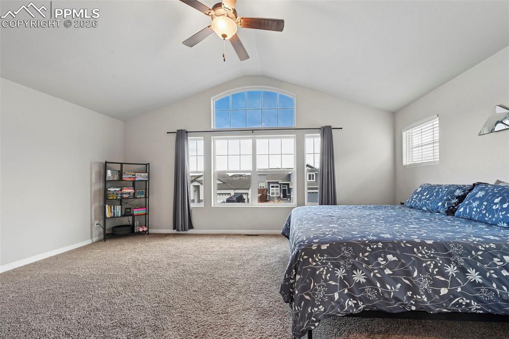 8121 Burl Wood Drive Colorado Springs CO 80908